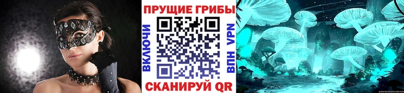 Псилоцибиновые грибы GOLDEN TEACHER  Иннополис 